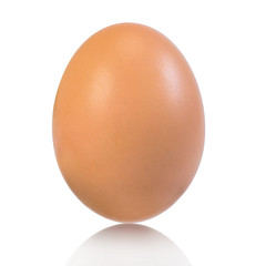 Chicken egg isolated on white background