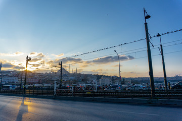 Galata bridge and birds on wires, night view of Galata bridge blue mosque in Istanbul, Turkey,...