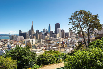 Fototapeta premium San Francisco downtown from Ina Coolbrith Park. Russian Hill District, San Francisco, California, USA
