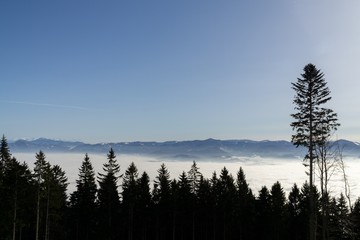 Clouds inversion in the town during autumn morning from mountains. Slovakia
