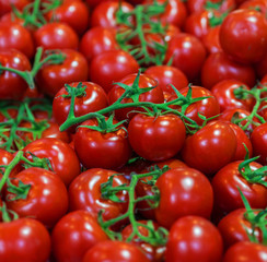 Juicy tomato on a branch, cherry