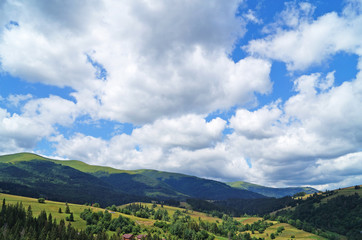 Panoramic view of the Carpathian mountains, green forests and flowering meadows on a sunny summer day