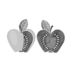 Isolated object of tomato and apple icon. Set of tomato and fruit stock vector illustration.