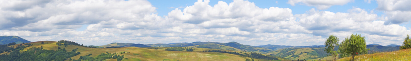 Panoramic view of the Carpathian mountains, green forests and flowering meadows on a sunny summer day