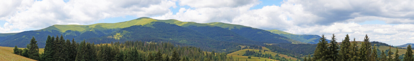 Naklejka premium Panoramic view of the Carpathian mountains, green forests and flowering meadows on a sunny summer day