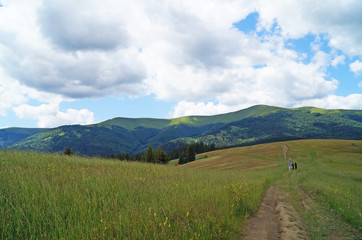 Panoramic view of the Carpathian mountains, green forests and flowering meadows on a sunny summer day