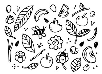 Hand drawn monochrome set of garden