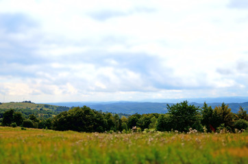 Panoramic view of the Carpathian mountains, green forests and flowering meadows on a sunny summer day
