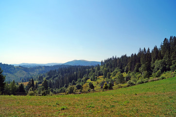 Panoramic view of the Carpathian mountains, green forests and flowering meadows on a sunny summer day