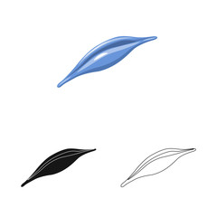 Vector design of animal and decoration sign. Collection of animal and ocean stock vector illustration.