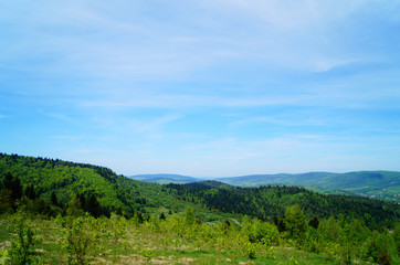 Panoramic view of the Carpathian mountains, green forests and flowering meadows on a sunny summer day
