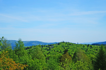 Panoramic view of the Carpathian mountains, green forests and flowering meadows on a sunny summer day