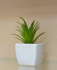 mini decorative flowers on a small ceramic cup