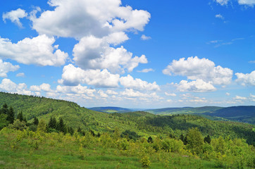 Panoramic view of the Carpathian mountains, green forests and flowering meadows on a sunny summer day