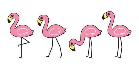 flamingo vector icon pink flamingos collection cartoon character animal exotic nature wild fauna illustration doodle