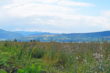 Panoramic view of the Carpathian mountains, green forests and flowering meadows on a sunny summer day