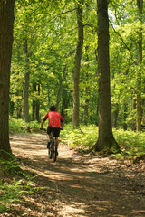 Obraz premium Fahrradfahrer im Wald