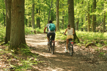 Naklejka premium Fahrradfahrer im Wald