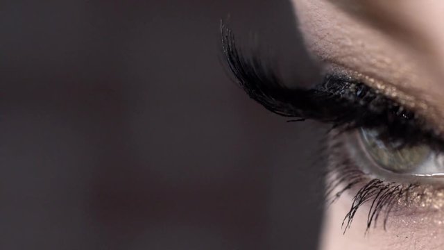 Close-up of beautiful female eye with long black lashes. Action. Extreme length of eyelashes, super black and swirled on macro photography of charming female eye