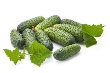 fresh cucumbers with leaves isolated on white background