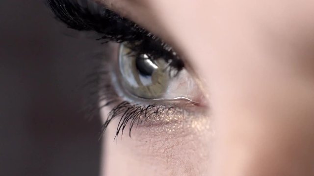 Close-up of beautiful female eye with long black lashes. Action. Extreme length of eyelashes, super black and swirled on macro photography of charming female eye