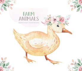 Farms animal isolated set. Cute domestic farm pets watercolor illustration. Duck cartoon drawing.
