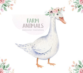 Farms animal isolated set. Cute domestic farm pets watercolor illustration. goose baby cartoon drawing.