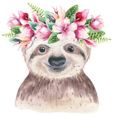 A poster with a baby sloth. Watercolor cartoon sloth tropical animal illustration. Jungle exotic summer print. © kris_art
