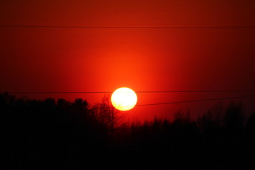 scarlet sunset