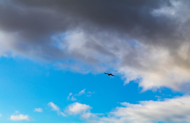 Eagle flying high in blue sky with dramatic black clouds