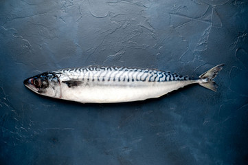 Fresh, raw mackerel on concrete background