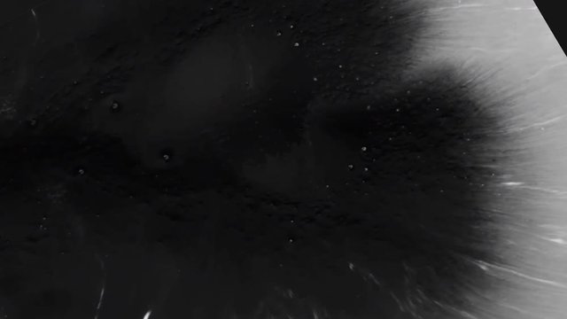 An abstract piece of paper soars in the air among feathers. Black ink drips onto the sheet and spreads.