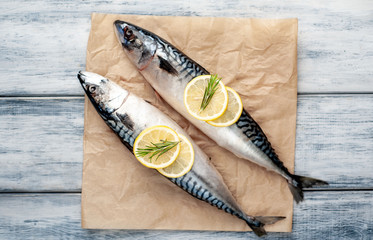 Fresh, raw mackerel with spices, tomatoes, rosemary on a wood background