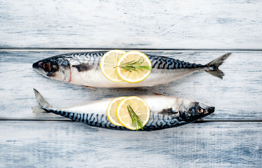 Fresh, raw mackerel with spices, tomatoes, rosemary on a wood background
