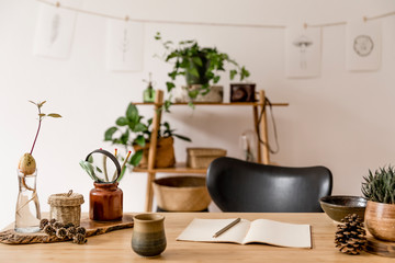 Stylish interior of home office space with wooden desk, forest accessories, avocado plant, bamboo...