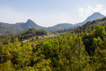 Fototapeta na wymiar small village among the green mountain valley