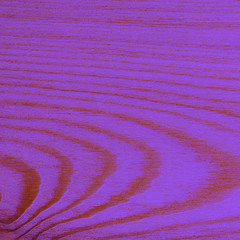 Fototapeta na wymiar Natural texture of wood closeup ultra violet duotone, Light plank with lines and round knots. Square. Background for text or creative design about woodwork and decor