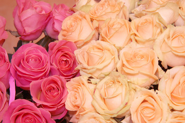 bouquet of pink and  creamy roses