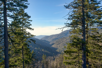 Great Smokey Mountains
