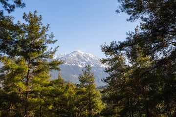 view to the Tahtali dagi from a green valley,Turkey, lycian way, natural background