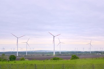 Wind mill turbines in field with blue sky and clouds and green summer grass on the front. Alternative renewable energies. Ecological clean energy. Electricity wind stations. Wind turbine generator 