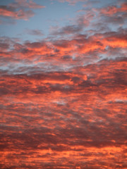 Naklejka na ściany i meble Blue sky and orange clouds during sunrise