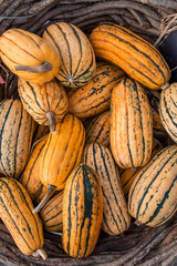 Fototapeta premium Beautiful bright colored pumpkins. Background from pumpkins. Halloween pumpkin. Festive Halloween concept and decoration. Top view. Autumn colors. Healthy and organic food. Raw, fresh vegetables