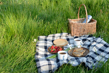 Picnic in the Park on the green grass with berry, cookies, tea.  Picnic basket and blanket. Summer holiday