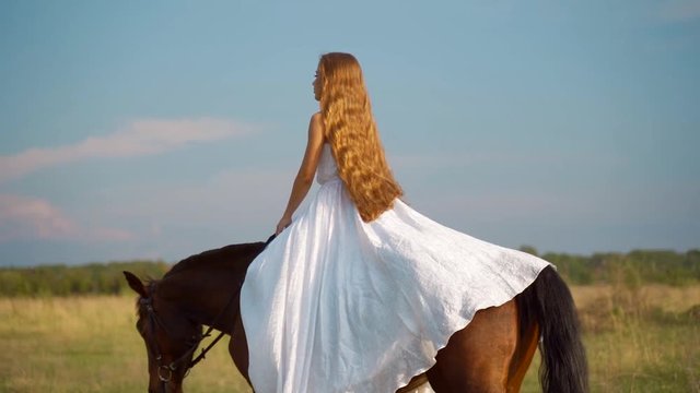 Girl in a white dress on a horse. Bride riding a horse in the field.