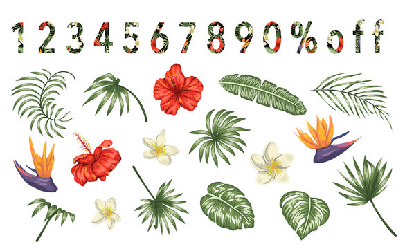 Vector set of tropical flowers and leaves isolated on white background. Bright realistic collection of exotic design elements. Numbers filled with tropic pattern. Good for sale or promo events.