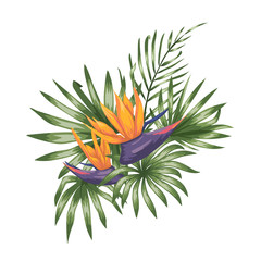 Vector tropische samenstelling van strelitzia bloemen, monstera en palmbladeren geïsoleerd op een witte achtergrond. Heldere realistische aquarel stijl exotische ontwerpelementen.