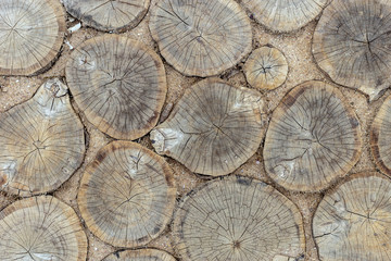 Pavement made of cut wood slices.