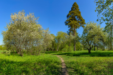 The Sablino nature reserve.