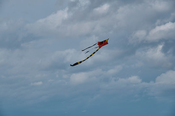Fototapeta na wymiar Kite flying in the sky